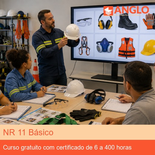 NR 11 Básico